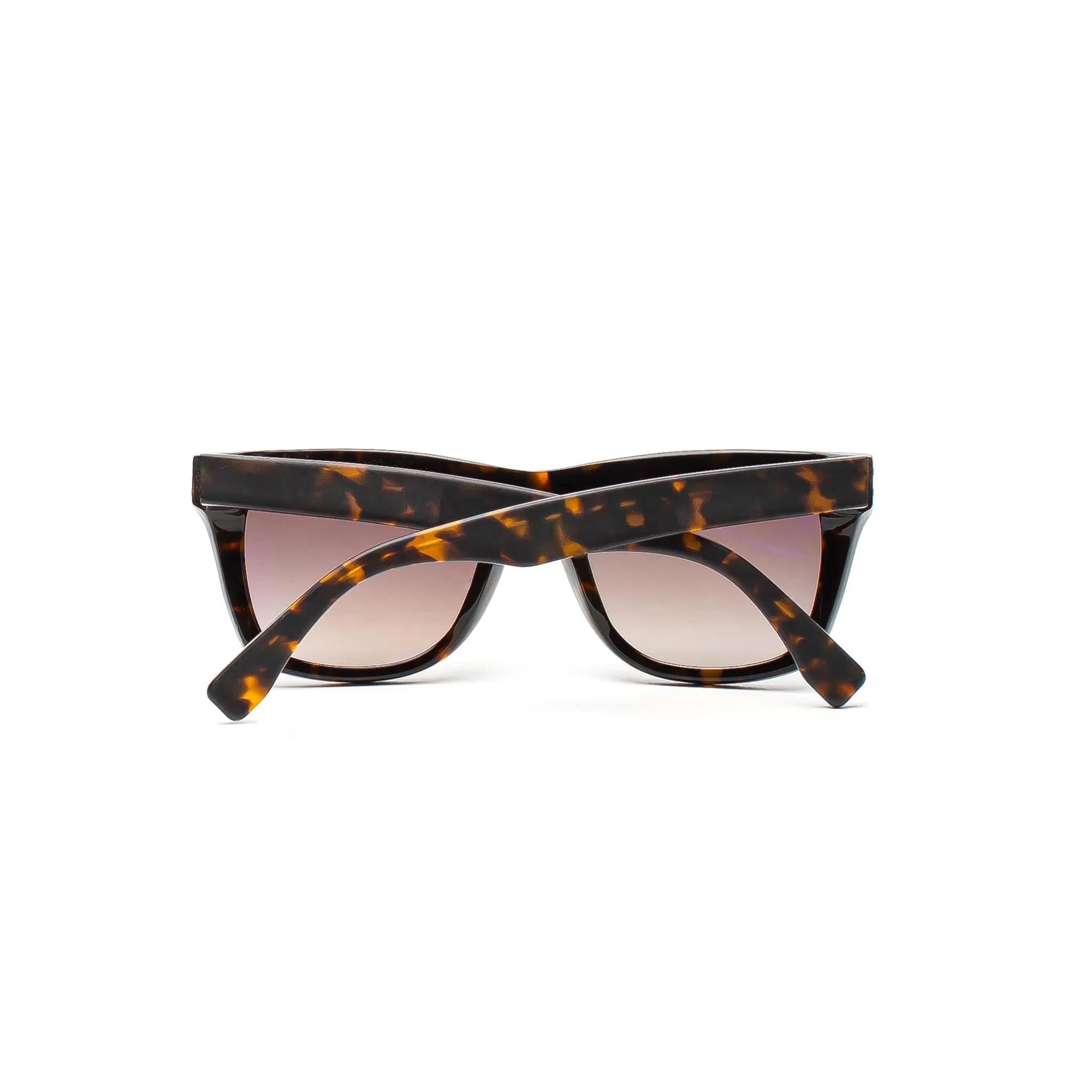 HOMME  HP001 Sunglasses Tortoise